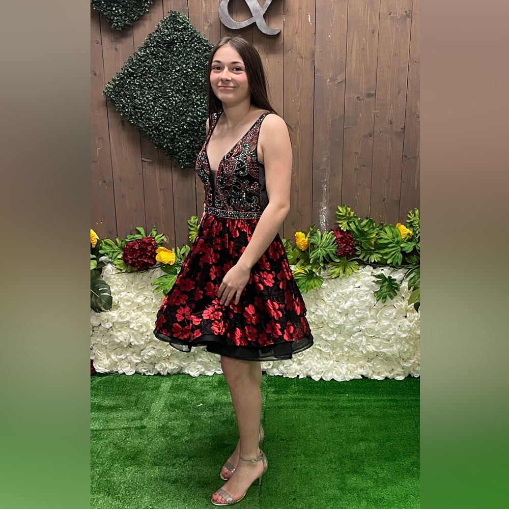 Vienna Party Dress